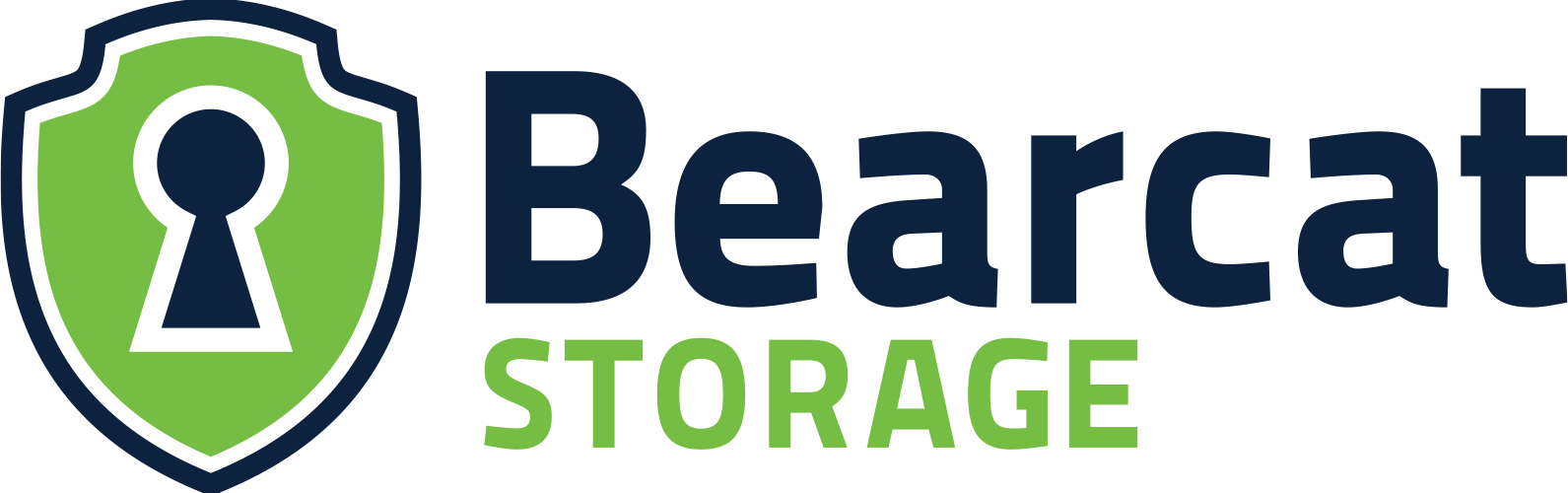 Bearcat Logo